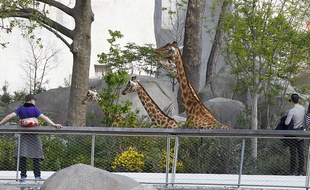 Le zoo de Vincennes lors de son inauguration, le 12 avril 2014.