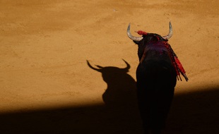 Lors d'une corrida (illustration).