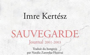 Sauvegarde : journal 2001-2003