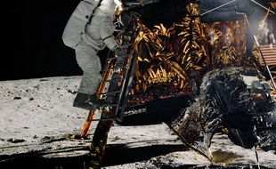 Alan Bean descend l'échelle du module lunaire de la mission Apollo 12, le 19 novembre 1969.