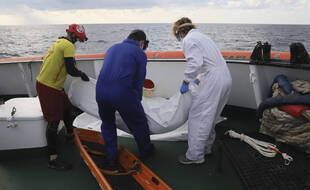 Des membres de l'ONG Open Arms viennent de retrouver le corps d'une des 100 victimes noyées en mer Méditerranée, le 11 novembre 2020.