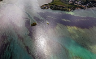 Pointe d'Esny, Île Maurice