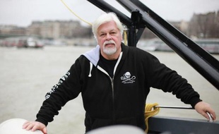 Le défenseur des océans, Paul Watson, à bord du "Brigitte Bardot", l'un des bateaux de Sea Shepherd à quai à Paris le 15 janvier 2015