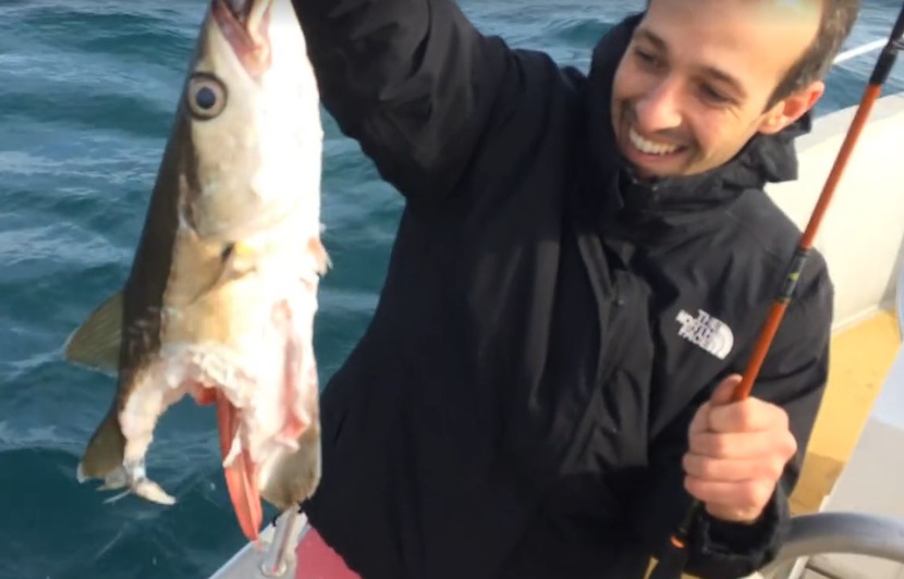 Il Se Fait Sucer Par Un Poisson VIDEO. Bretagne : Un pêcheur se fait happer son poisson par un requin