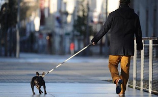 De plus en plus de propriétaires confient leur animal de compagnie à des "nounous" pendant leurs vacances