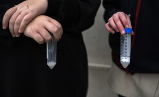 Des tubes de tests salivaires, ici en Espagne.