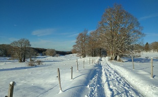 De fortes chutes de neige précoce se sont abattues en Auvergne Rhône-Alpes jeudi. Illustration ici dans l'Ain le 16 novembre 2019?