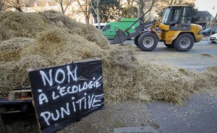 Manifestation des agriculteurs le 16 janvier 2013 à Paris.