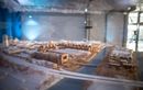Le bras de la Seine qui traverse le village olympique fermé pour les JO