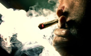 Le marché des drogues illicites en France pour l'année 2010 est estimé à 2,3 milliards d'euros, dominé par le cannabis (1,1 milliard) et la cocaïne (902 millions)