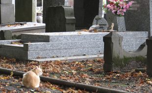 Illustration d'un cimetiere avec un chat.