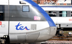 Un TER à la gare Toulouse-Matabiau. Illustration.