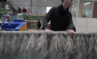 Un employé inspecte des fibres de lin teillées (dont les tiges ont été battues, broyées) à la machine, le 22 juin 2015, dans une usine de Raffetot, en Seine-Maritime