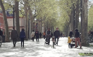 Sur les allées Jules-Guesde, à Toulouse. Illustration.