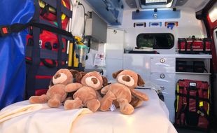 A Rennes, une centaine de peluches viennent d'embarquer à bord des camions de pompiers.