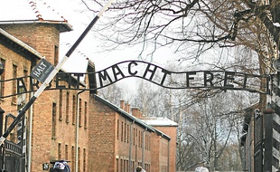 L'entrée d'Auschwitz (à g.), des photos (en h.) et des souliers des déportés.