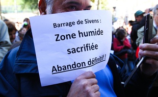 Lors d'une manifestation contre le barrage de Sivens, dans le Tarn.