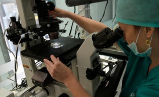 Un employé de la clinique Eugin prépare un échantillon de sperme et un ovocyte pour une fertilisation le 25 mai 2016 à Barcelone