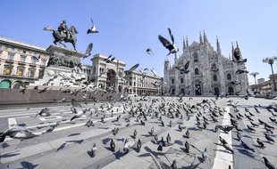 Des pigeons prennent possession de la place Duomo à Milan, le 5 avril 2020.