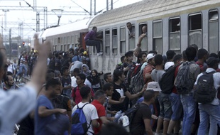 Des migrants tentent d'embarquer à bord d'un train à destination de la Serbie, dans la gare Gevgelija, dans le sud de la Macédoine, le 12 août 2015.
