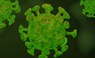 Vue d'artiste d'un Coronavirus