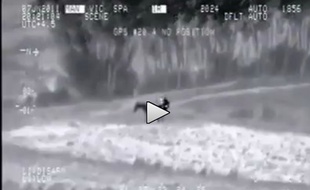 Capture d'écran d'une vidéo virale sur Internet.