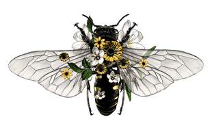 Seules les abeilles femelles peuvent piquer