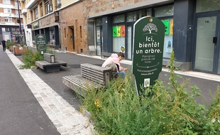 Un exemple de nature en ville à Lille.