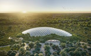 Vue d'architecte du projet Tropicalia.