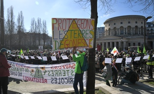 L'une des marches des terres qu'organise ce week-end France Nature Environnement (FNE) Ile-de-France partira de Gonesse dans le Val d'Oise.