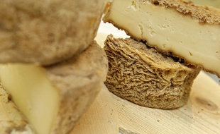 Lille, le 4 fvrier 2014. Illustration de fromages.