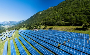 Un champ de panneaux solaires.