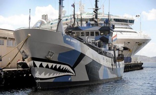 Le "Bob Barker", navire appartenant à l'organisation écologiste Sea Shepherd, amarré à Hobart, en Australie, le 13 décembre 2011