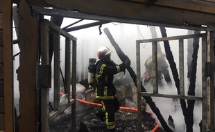 Les pompiers au zoo de La Flèche, samedi 25 janvier 2020.