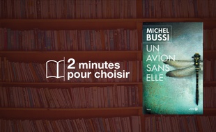 Un avion sans elle