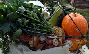 Photo d'un panier de légumes à Argentan. (Photo archives).