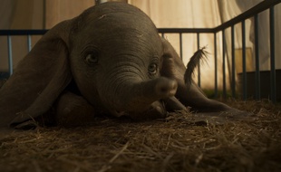 Une image extraite du film «Dumbo».