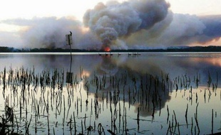 L'Etat le plus peuplé d'Australie comptait plus de 130 feux de brousse mardi, journée de tous les dangers selon les autorités, en raison d'un nouveau pic de température et de rafales de vent.