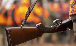 Le fusil d'un chasseur lors d'une partie de chasse (Illustration).