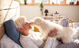 Il existe des solutions pour que votre animal ne soit pas livré à lui-même après votre disparition.