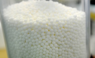 Des granules d'homéopathie (image d'illustration).