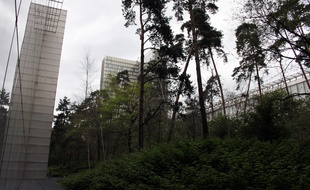 Le jardin de la BNF, dans le 13e arrondissement de Paris.