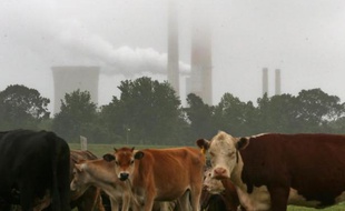 Bien que le secteur de la viande et des produits laitiers soit l'un des principaux émetteurs de gaz à effet de serre, les gouvernements agissent peu pour limiter son impact
