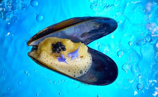 Laurent Rodriguez a remporté le prix du Public lors du Festival international de la photo culinaire qui mettait le sud en avant.