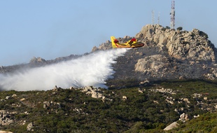 Deux cents hectares de maquis détruits dans un incendie à proximité de Bonifacio (Corse), le 17 juillet 2017.