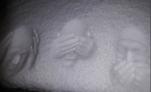 Le snowface challenge, la nouvelle tendance qui fait fureur sur les réseaux sociaux.