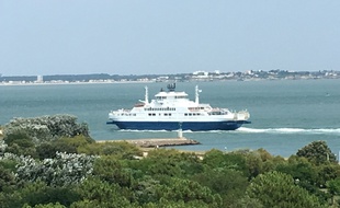Illustration mer, littoral, océan