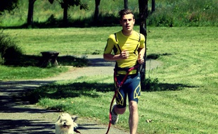 Le chien est attaché au coureur par une laisse extensible.