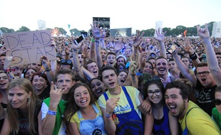 Illustration des Vieilles Charrues 2015