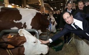 Le président François Hollande a promis un soutien "exceptionnel" aux producteurs laitiers et, réagissant au scandale du cheval, exigé un "étiquetage obligatoire" sur l'origine des viandes dans les plats cuisinés, en inaugurant samedi à Paris le 50e Salon de l'Agriculture.